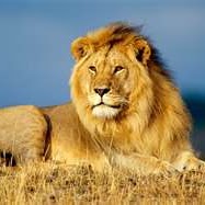 Hannah Davis Photo 21