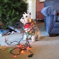 Cindy Mason Photo 40