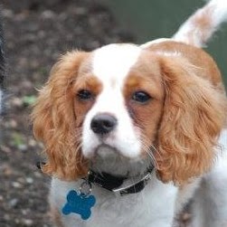 Ruth Dowling Photo 16