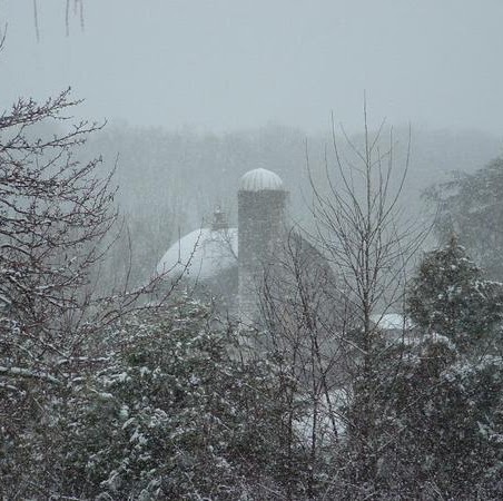 Beth Foley Photo 34