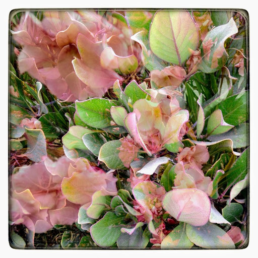 Cindy Giles Photo 22