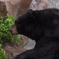 Julie Billings Photo 14