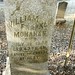 William Monahan Photo 26