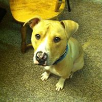 Stephanie Blaisdell Photo 7