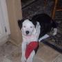 Ann Myers Photo 10