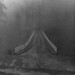 Gerald Mott Photo 9