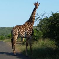 Alisha Reid Photo 17