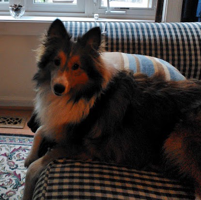 Donna Pitts Photo 21