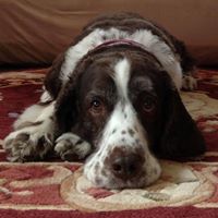 Paula Glynn Photo 6