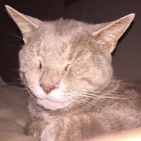 Paula Strong Photo 12