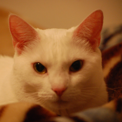 Michelle Leininger Photo 9