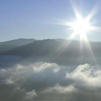 Cheryl Charles Photo 22