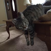 Janice Wiles Photo 11