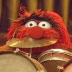 Matt Fields Photo 36