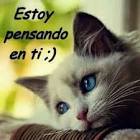 Deborah German Photo 22