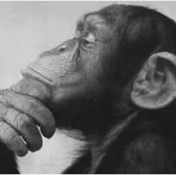 Robert Mcgill Photo 41