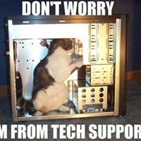 Catherine Will Photo 24