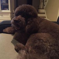 Ilene Miller Photo 16