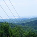 Jefferson Mitchell Photo 10