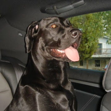 Beau Summers Photo 13