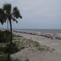 Marsha Cooper Photo 29 Marsha Cooper Photo 29