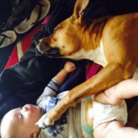 Craig Stahl Photo 18