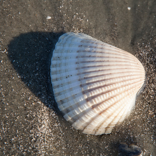 Robert Meyers Photo 52 Robert Meyers Photo 52