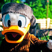 Donald Combs Photo 33