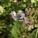 Donald Hinds Photo 9