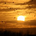 Richard Edmunds Photo 16