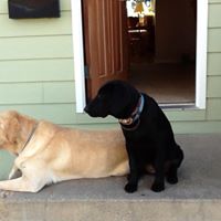 Jill Mcfarland Photo 11