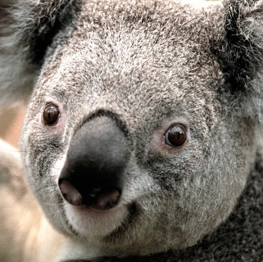 Molly Jenkins Photo 41