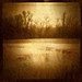 Diana Vandyke Photo 10