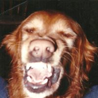 Terry Jaeger Photo 8