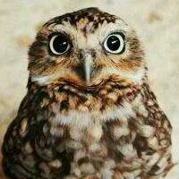 George Sparkman Photo 3