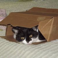 Patsy Blevins Photo 20