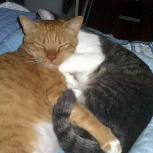 Anna Ramirez Photo 23