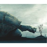 Shaun Cunningham Photo 30