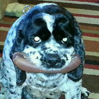 Sally Hopkins Photo 14