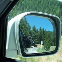 Josh Rutledge Photo 36