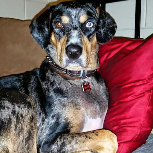 Walter Horton Photo 35