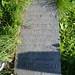 Julie Hirsch Photo 23
