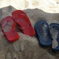 Nancy Piatt Photo 21