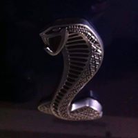 Sherry Warner Photo 20