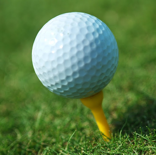 Suzanne Kirk Photo 18