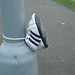 Aaron Wester Photo 9