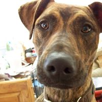 Betty Jaeger Photo 25