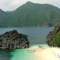 Dorothy Newcomb Photo 16