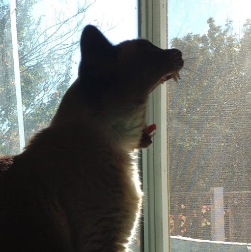 Michelle Tuttle Photo 14