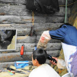 Steven Tsang Photo 9